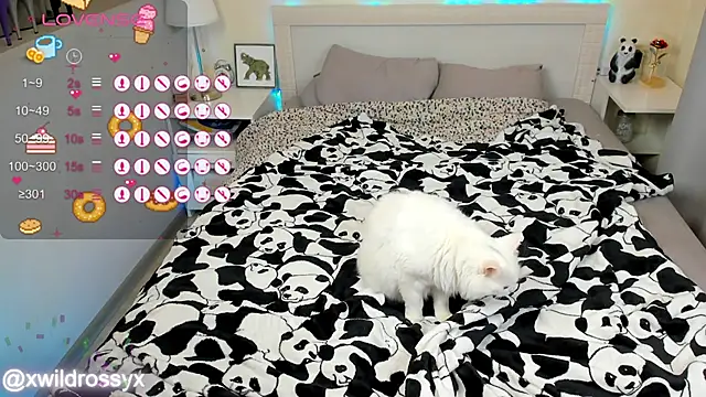 Snapshot of wildrossy chatting on 10.15.25 wildrossy online show from 10.15.25