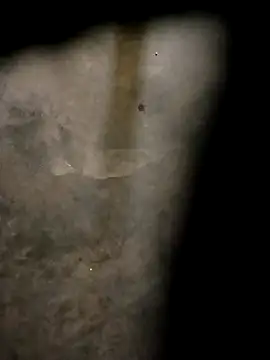 Yasha 14C Creator online show from 10.31.25