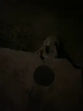 nowex18 online show from 03.06.25