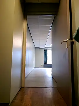 Dario40filip online show from 11.02.25