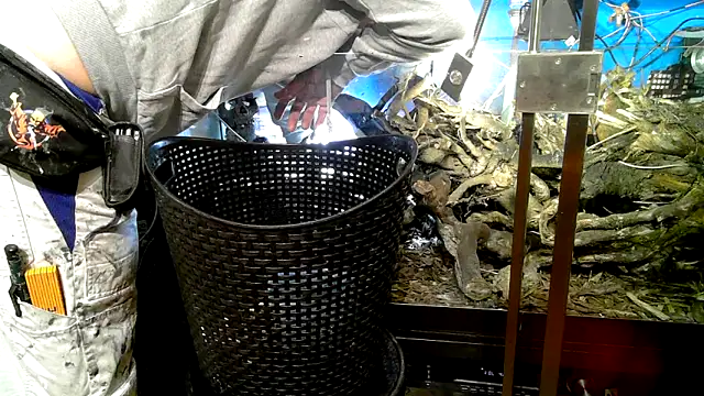 0815lukas2024 online show from 10.07.25