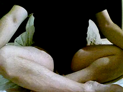 pollarikaaa online show from 12.02.24