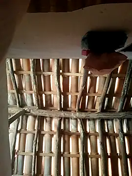 luissilva0071 online show from 02.24.26