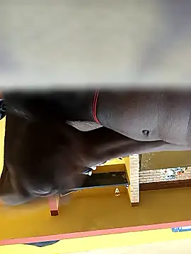 Tamil boy age28 online show from 01.12.26