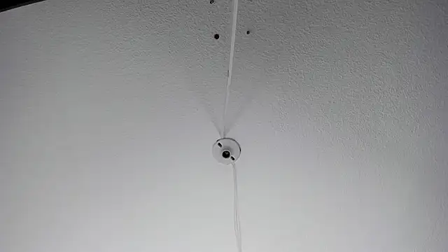 Snapshot of MelissaKarterrs chatting on 01.20.25 MelissaKarterrs online show from 01.20.25