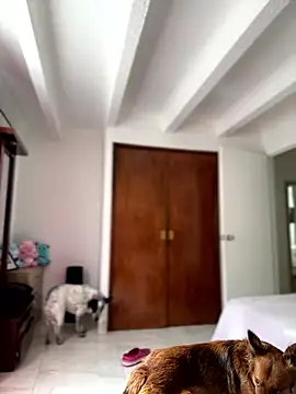 Salome golvert online show from 01.09.26