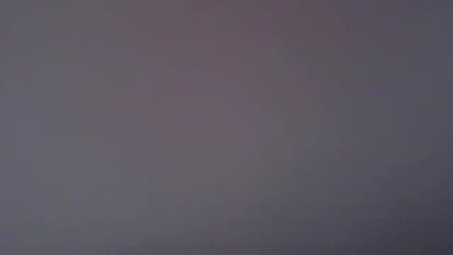 paytonkelly online show from 04.06.26