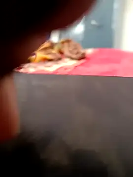 sat 1234 online show from 01.11.25