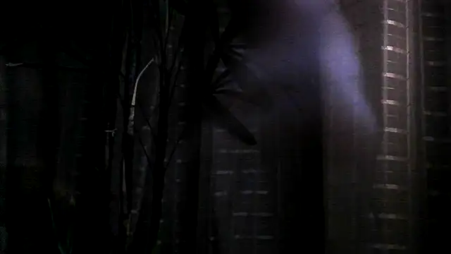 funguybr36 online show from 09.19.25