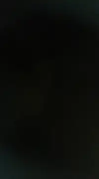 Peshi123 online show from 03.02.25