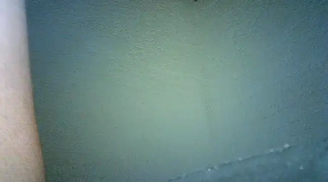 Snapshot of Bellabeltrann chatting on 01.25.25 Bellabeltrann online show from 01.25.25