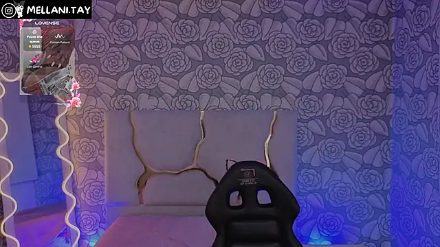 Snapshot of Mellani_tay chatting on 09.21.25 Mellani tay online show from 09.21.25