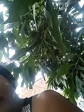 Berry Bans online show from 03.13.25