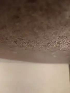 Alex flair online show from 03.17.26