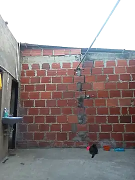 Snapshot of ariana_d20 chatting on 03.11.25 ariana d20 online show from 03.11.25