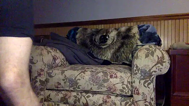 tongueispowerr6d9 online show from 03.03.26