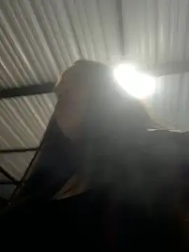 aliensexy online show from 12.25.24