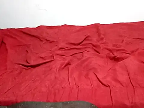 Snapshot of wel9238 chatting on 03.01.26 wel9238 online show from 03.01.26