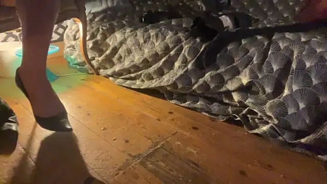 alexheels boots online show from 12.03.25