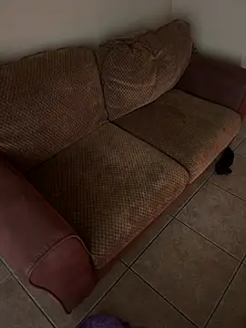 Snapshot of TSPornStarDancer chatting on 03.09.25 TSPornStarDancer online show from 03.09.25