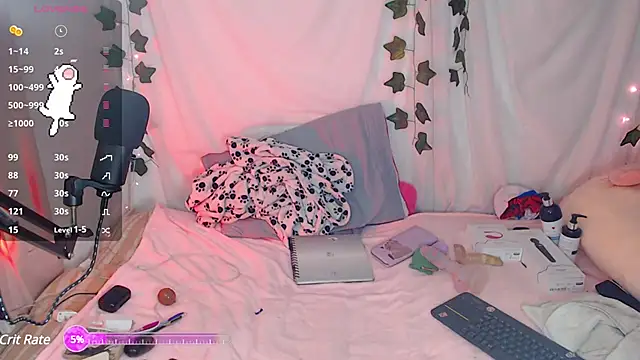 sophie north online show from 01.29.25