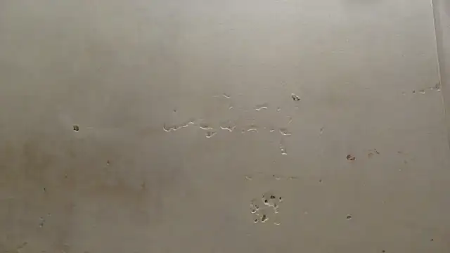 curvysexybody online show from 01.16.26