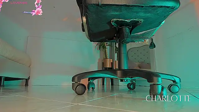 charlotte  grey online show from 11.28.25