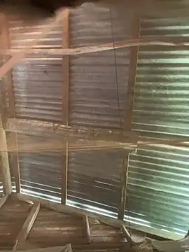 Snapshot of phola12 chatting on 02.27.25 phola12 online show from 02.27.25