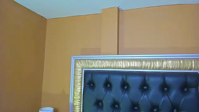 Snapshot of AniEvans_ chatting on 10.21.25 AniEvans online show from 10.21.25