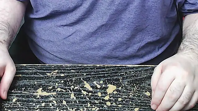 Dominant BEAR online show from 11.04.25