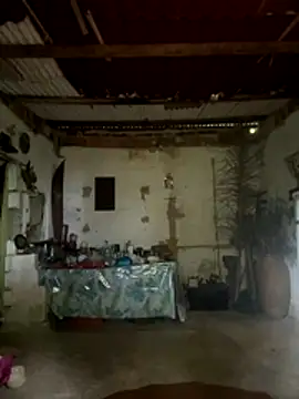 Snapshot of amy_gata chatting on 11.15.25 amy gata online show from 11.15.25