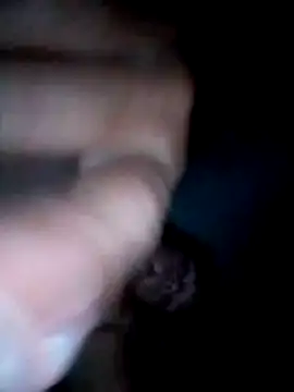 LemonyArcus online show from 04.27.26