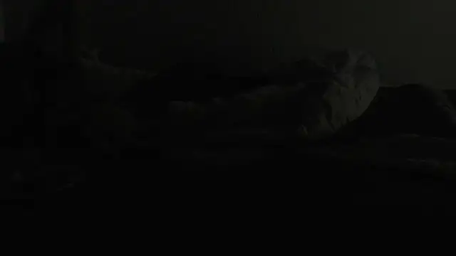 flexingplexico online show from 01.06.25