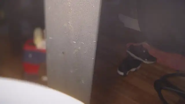 flexingplexico online show from 03.01.25