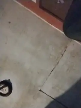 brownfeet online show from 12.24.24