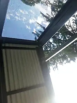 Off the Lesh online show from 03.31.26