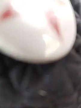 taaylor33 online show from 02.27.26