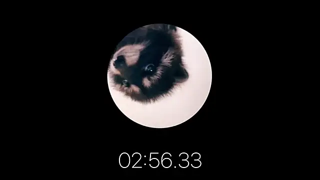 Snapshot of les_mod_sc2 chatting on 02.12.25 les mod sc2 online show from 02.12.25