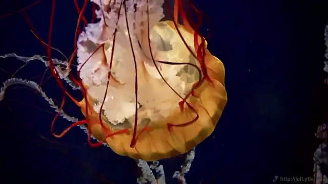 Snapshot of streamy_test15 chatting on 10.02.25 streamy test15 online show from 10.02.25