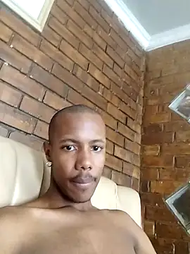 bobzerr online show from 03.11.26