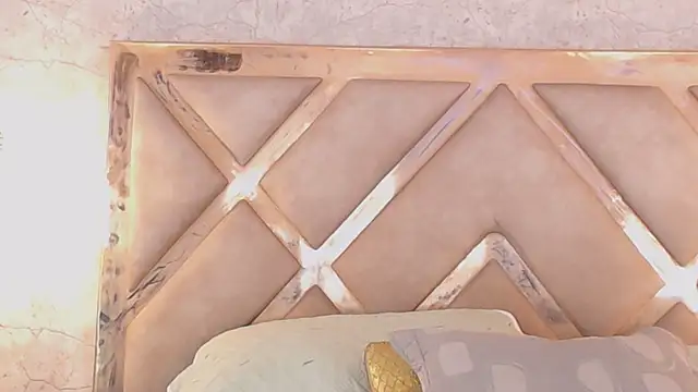 Snapshot of JoannaStanford chatting on 11.05.25 JoannaStanford online show from 11.05.25