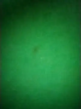 Snapshot of Zane_Natha chatting on 11.10.25 Zane Natha online show from 11.10.25