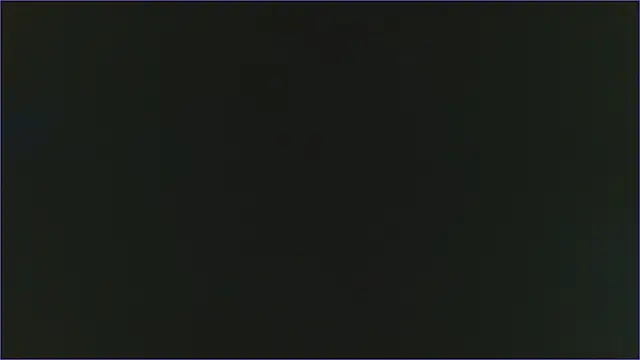 Geisha Seniers online show from 02.13.25