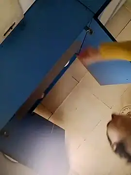 Gussie Bridie online show from 10.24.25