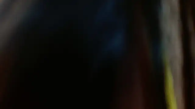 Melikasweetz online show from 12.17.24