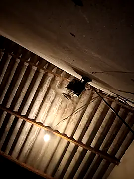 eupica1195 online show from 10.11.25