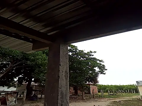 natally ross21 online show from 12.21.25