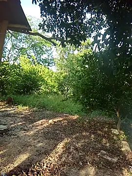 natally ross21 online show from 02.05.26