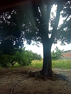 natally ross21 online show from 02.09.26