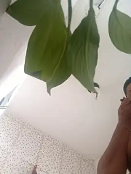 Brasilsexxx online show from 01.14.26